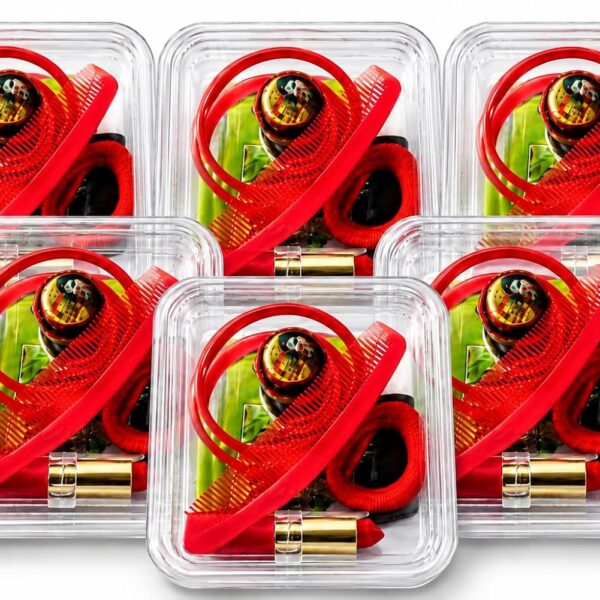 MATA Ka Shringar (Pack of 6) (11 Items) Pooja Kit Complete Shringar with Bangles, Bindi, Sindoor, Comb, Nail Polish, Lipstick, Mehendi, Hair Band & Navratna Oil for Durga Puja, Navratri, Shingar